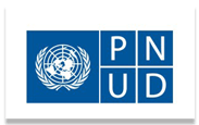 PNUD2